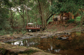 Serenity Mountain and Forest Lodge